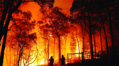 اندلاع حريق بإحدى الغابات في ولاية بجاية الجزائرية وإجلاء المئات